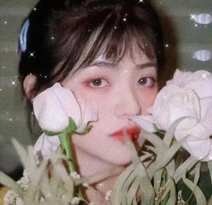 七日的王妃